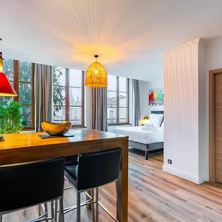 Le Relais Ducal - D'hotes Vieille 아파트 낭시